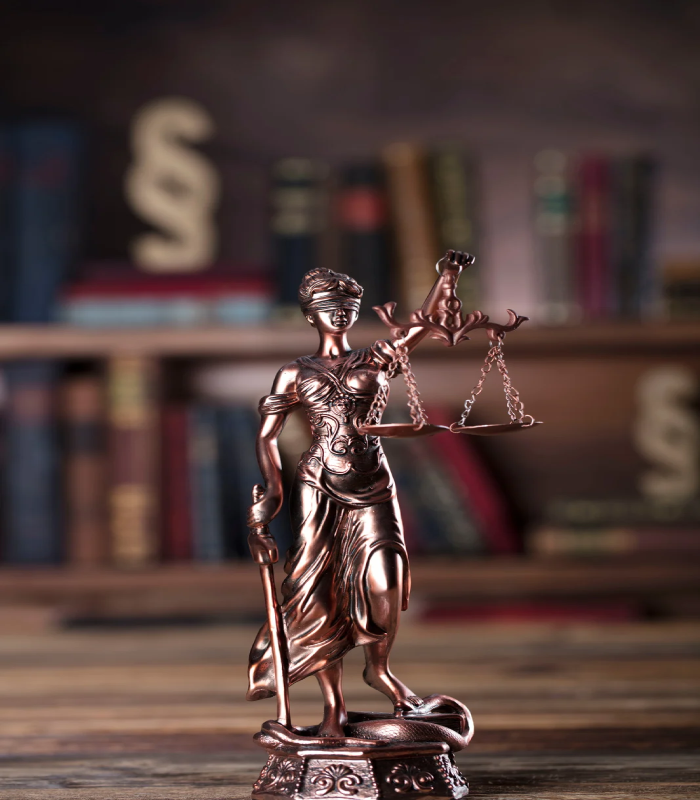 وکیل طاهره کریمی